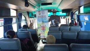 mudik