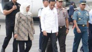 Ultah