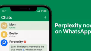 Perplexity AI di WhatsApp