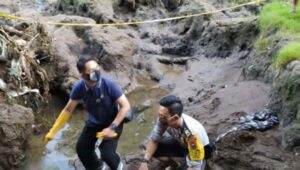 balung