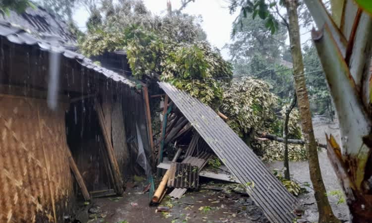 Rumah yang rusak diterjang puting beliung di Jember (Foto: Istimewa)