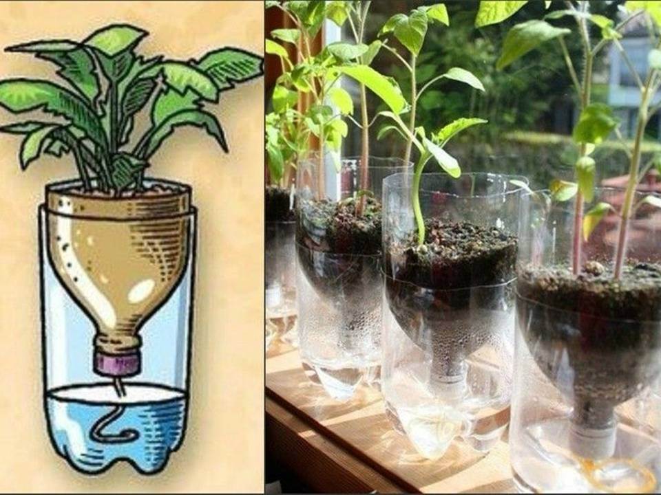 5 Cara Efektif Mengolah Sampah Plastik di Rumah untuk Lingkungan yang Lebih Bersih