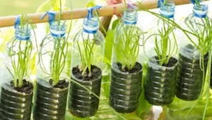 5 Cara Efektif Mengolah Sampah Plastik Di Rumah Untuk Lingkungan Yang Lebih Bersih