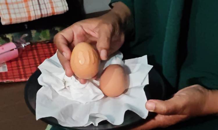 Telur Lafadz Allah yang ditemukan warga di Jember (Foto: Ambang/Pelitaonline.co)