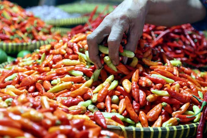 Harga cabai rawit hari ini