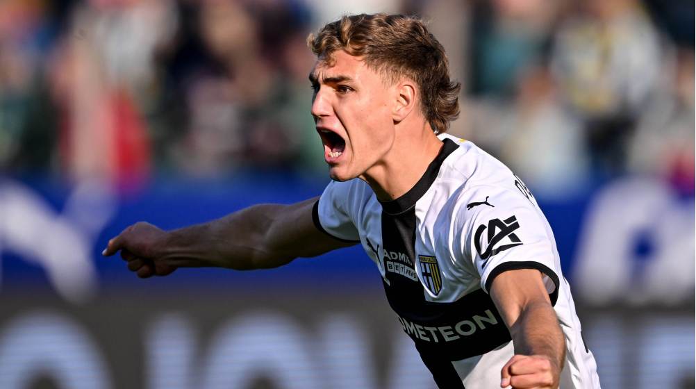 Mateo Pellegrino