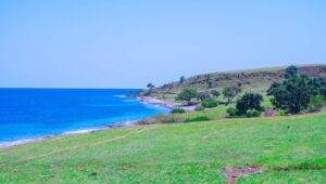 Padang Savanna Mausui flores
