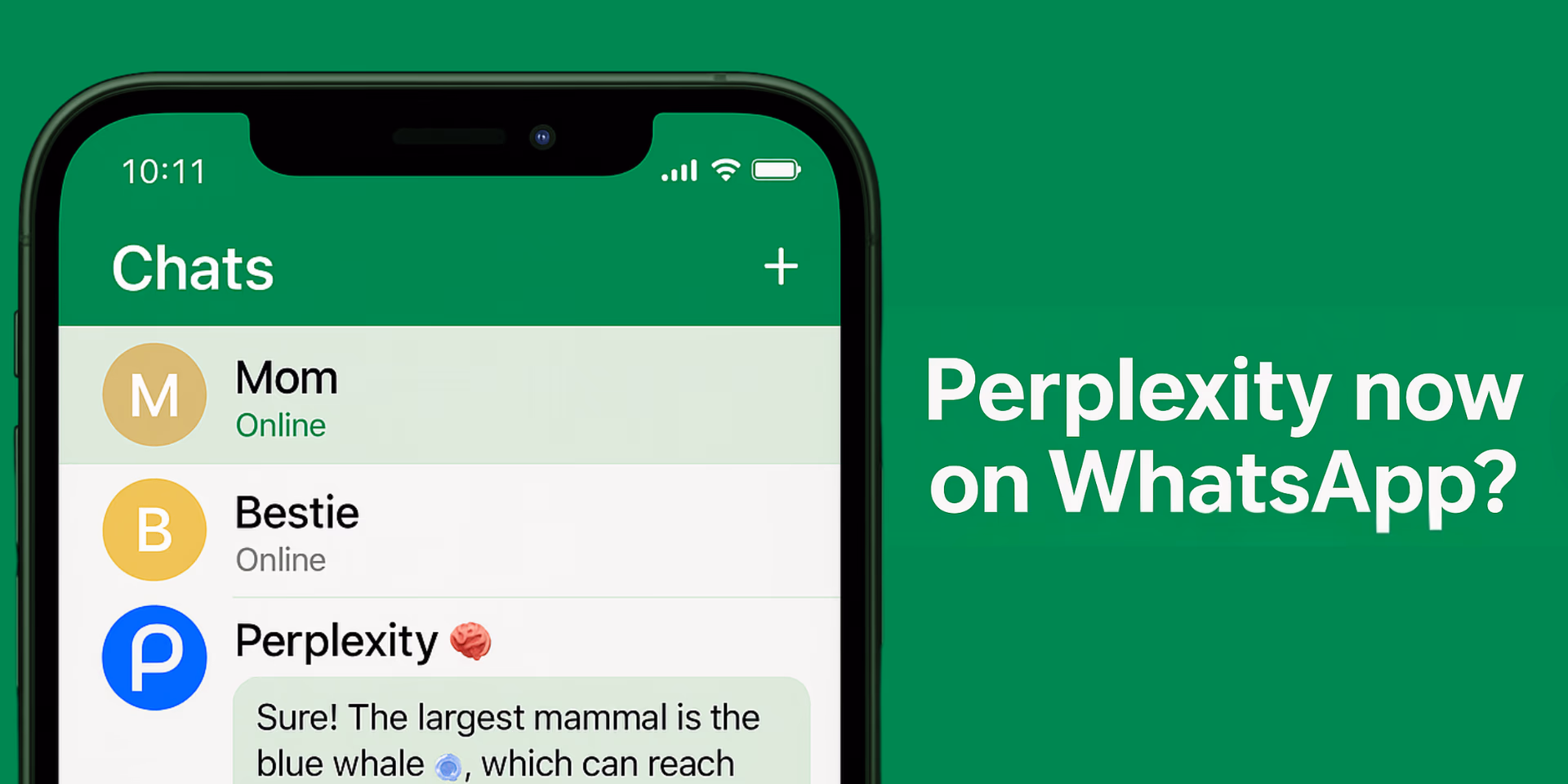 Perplexity AI di WhatsApp