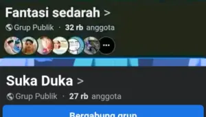 Tankapan Layar Grup Facebook Fantasi Sedarah, dengan jumlah pengikut puluhan ribu