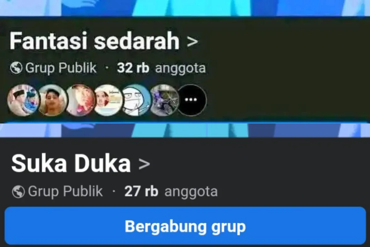 Tankapan Layar Grup Facebook Fantasi Sedarah, dengan jumlah pengikut puluhan ribu