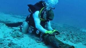 Gangguan kabel listrik bawah laut Jawa-Bali