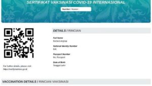 sertifikat vaksinasi internasional, perjalanan internasional, vaksinasi COVID-19, PeduliLindungi, regulasi perjalanan, kesehatan global
