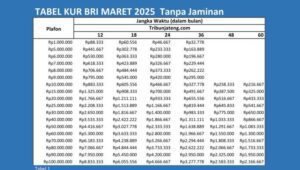 Tabel Angsuran KUR BRI 2025
