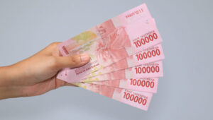 Cek BSU 2025