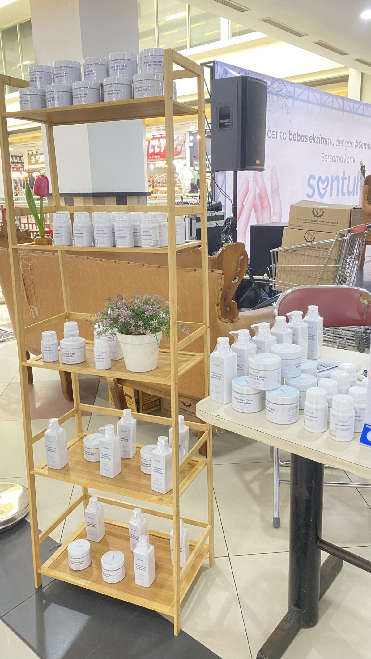 Sembuh Tanpa Steroid, Tsw, Topical Steroid Withdrawal, Sentuh Care, Produk Non Steroid, Eksim Alami, Kulit Sensitif, Pemulihan Kulit, Komunitas Tsw