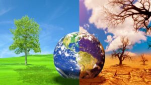 Gas penyebab pemanasan global, pemanasan global, gas rumah kaca, karbon dioksida, metana, nitrous oxide, fluorinated gases, perubahan iklim, energi terbarukan, deforestasi
