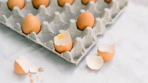 Gejala Infeksi Salmonella