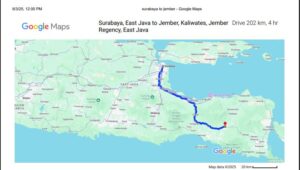 jarak Surabaya Jember, perjalanan Jawa Timur, wisata Jember, transportasi Surabaya Jember, rute Surabaya Jember, Pantai Papuma, kereta api Jember, kuliner Jember