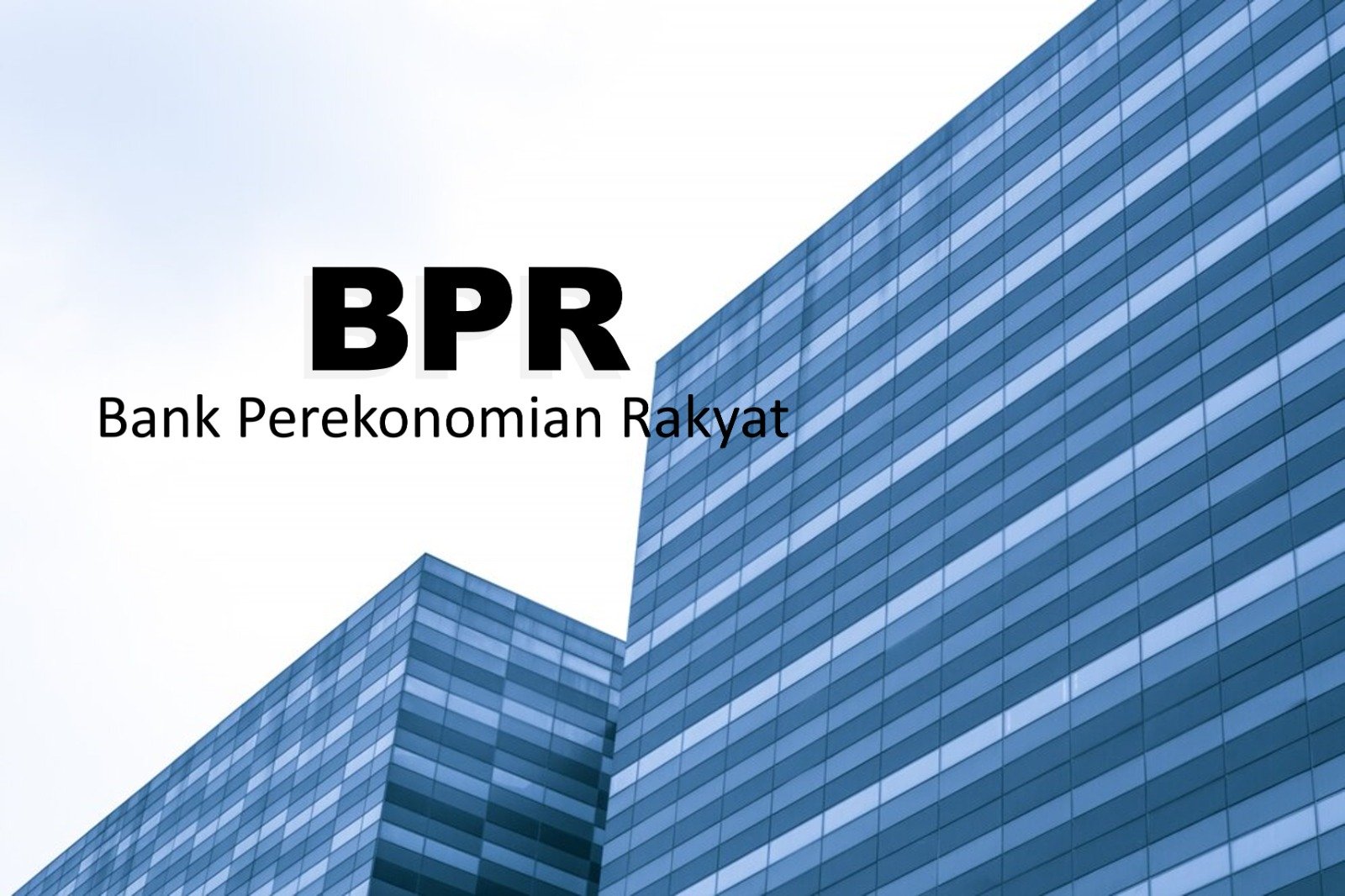 kegiatan usaha BPR, fungsi BPR, kredit mikro BPR, BPR dan UMKM, regulasi BPR, peran BPR, layanan BPR, perbedaan BPR dan bank umum