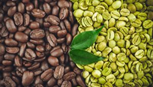 manfaat kopi hijau, kopi hijau, kesehatan, penurunan berat badan, antioksidan, jantung sehat, gula darah, tren kesehatan