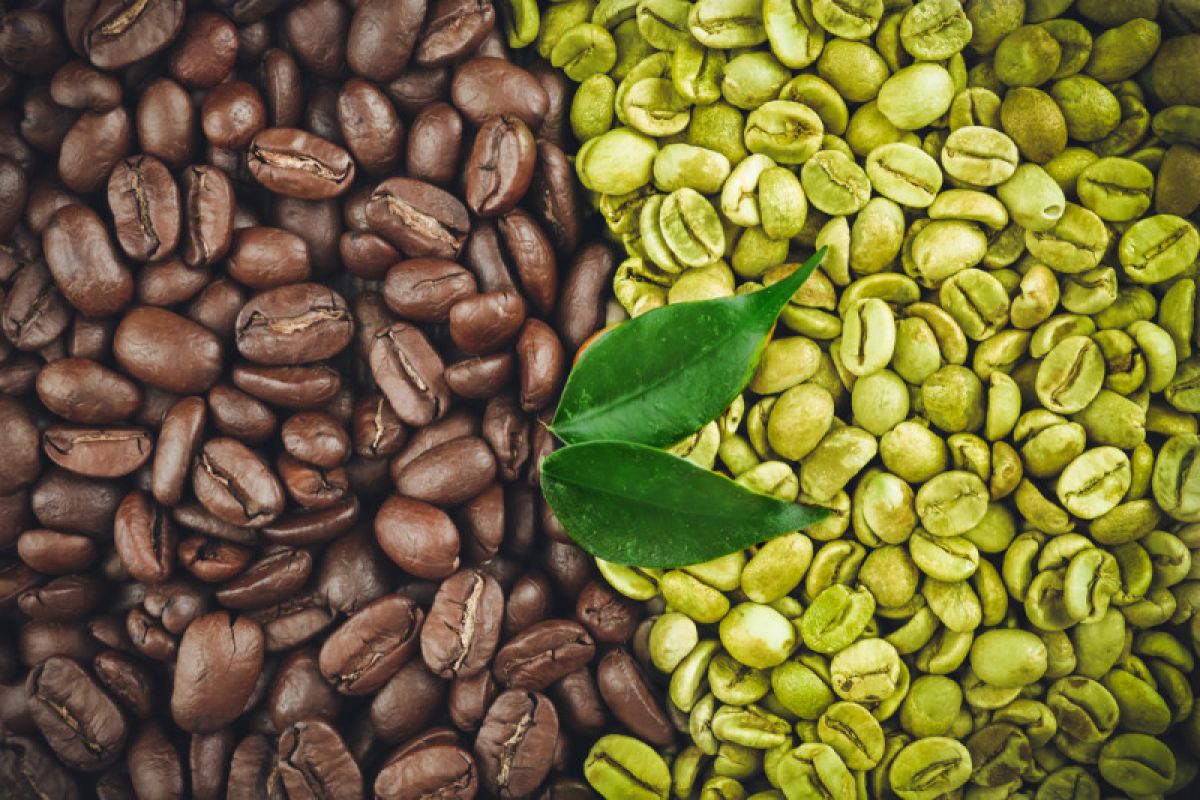 manfaat kopi hijau, kopi hijau, kesehatan, penurunan berat badan, antioksidan, jantung sehat, gula darah, tren kesehatan