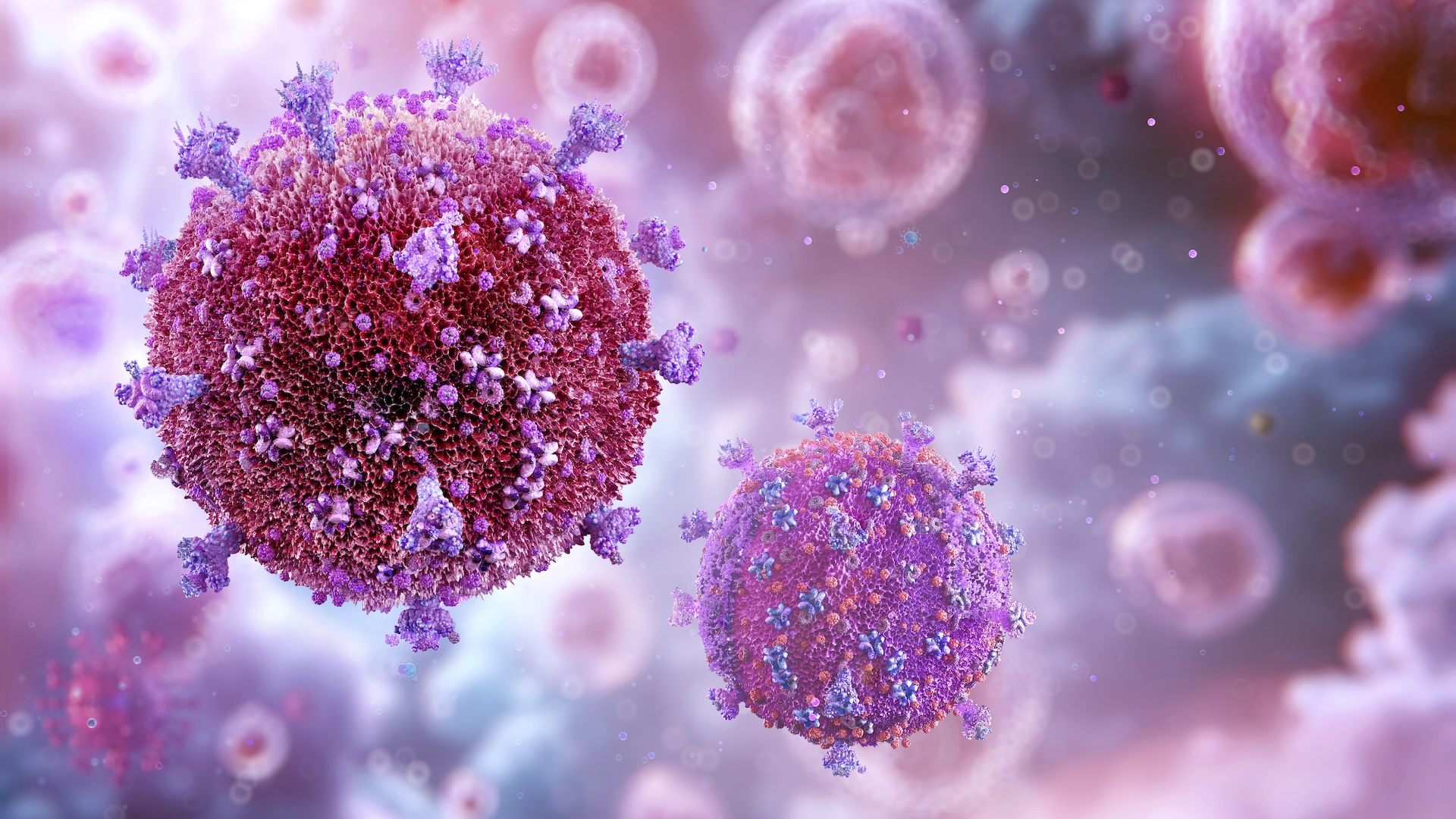 HIV, gejala HIV awal, kapan gejala HIV muncul, tes HIV, HIV tahap lanjut, ARV, infeksi HIV, pencegahan HIV, dukungan HIV