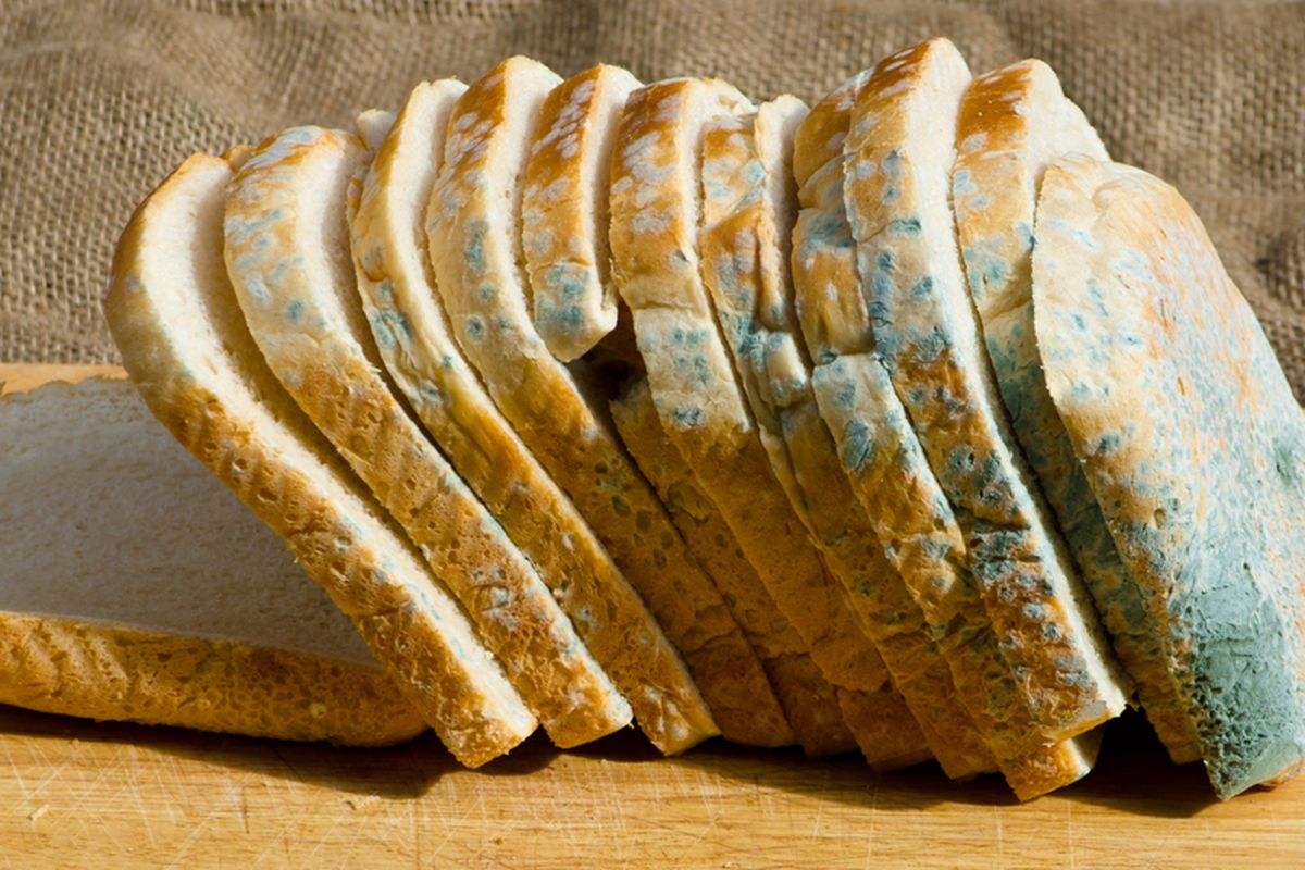 roti tidak halal, makanan halal, sertifikasi halal, bahan roti, lemak babi, gelatin non-halal, roti impor, konsumen Muslim, MUI, Roti yang Tidak Halal