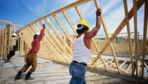 carpenter artinya adalah