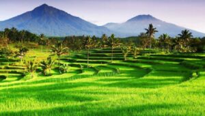 Tanah sebagai Fondasi Utama Potensi Fisik Desa