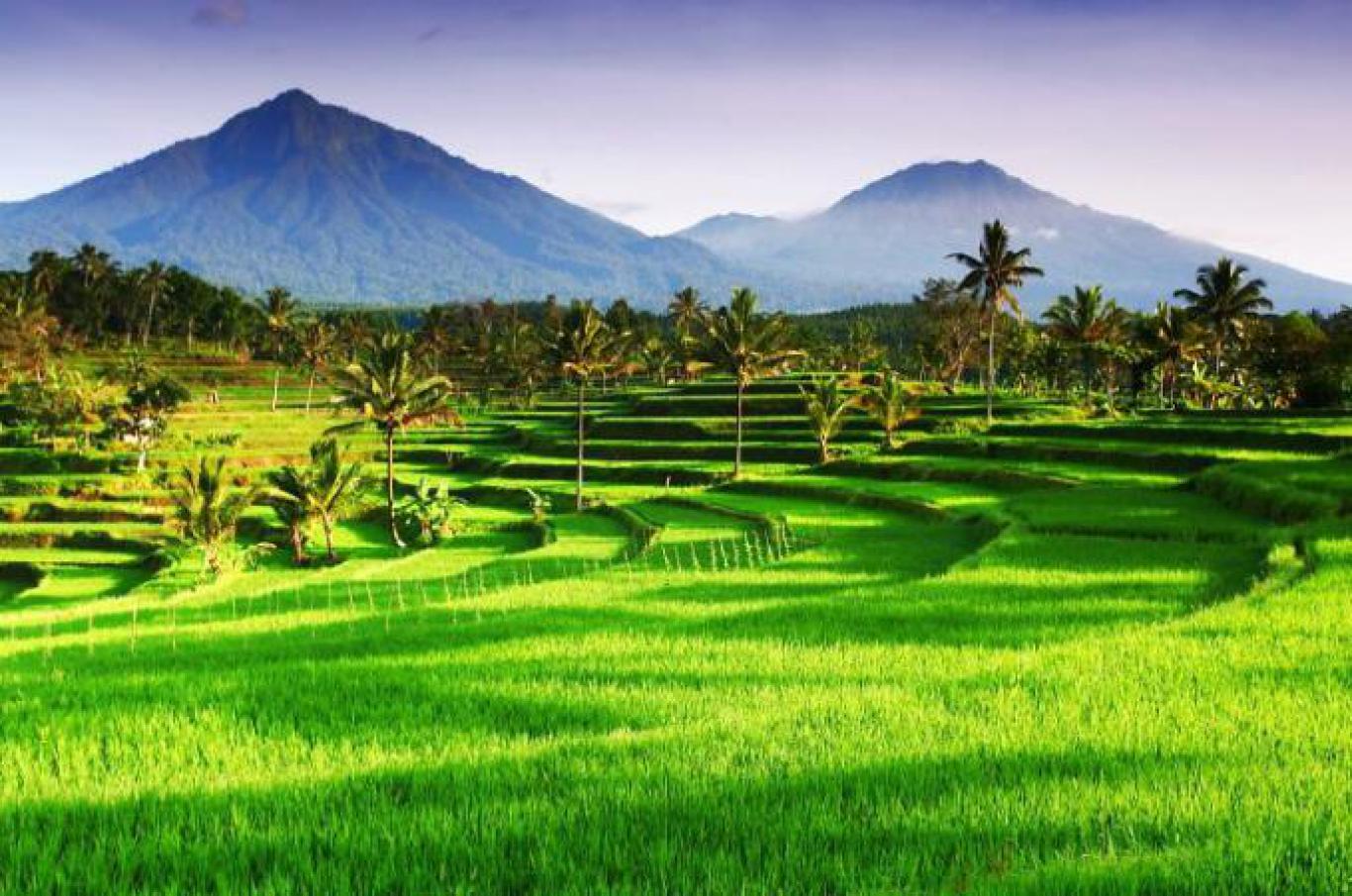 Tanah sebagai Fondasi Utama Potensi Fisik Desa